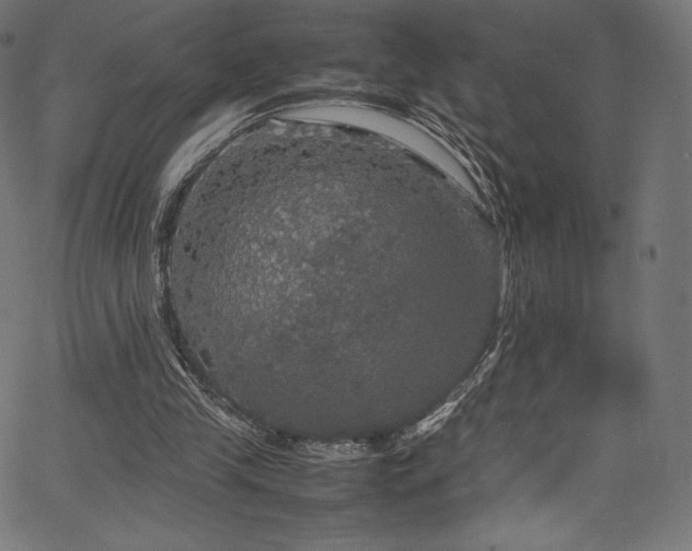 X0000067400245200603311331