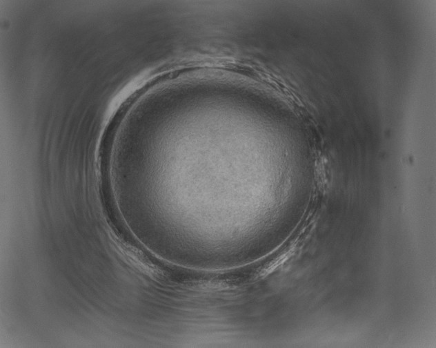 X0000067400246200603311331