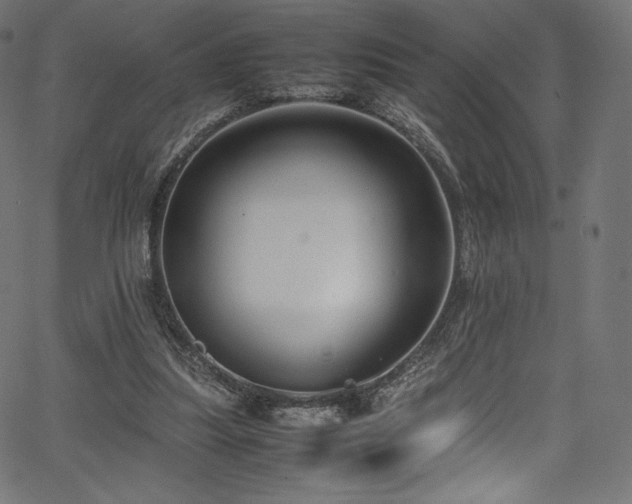 X0000067400251200603311331