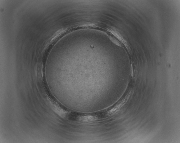 X0000067400253200603311331