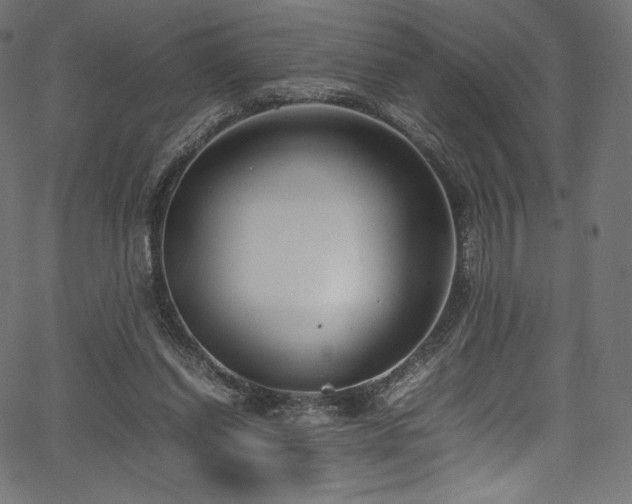 X0000067400254200603311331