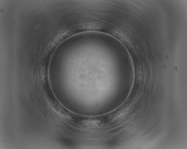 X0000067400255200603311331