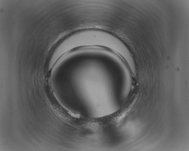 X0000067400256200603311331