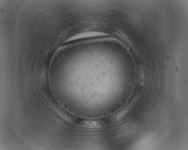 X0000067400265200603311331