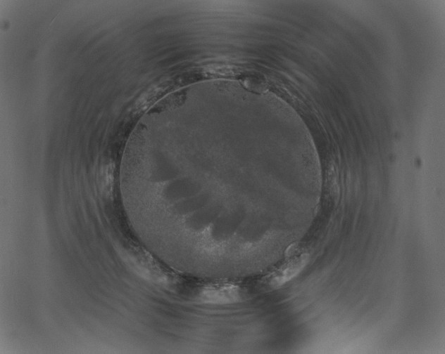 X0000067400271200603311331