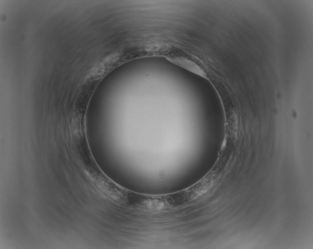 X0000067400272200603311331