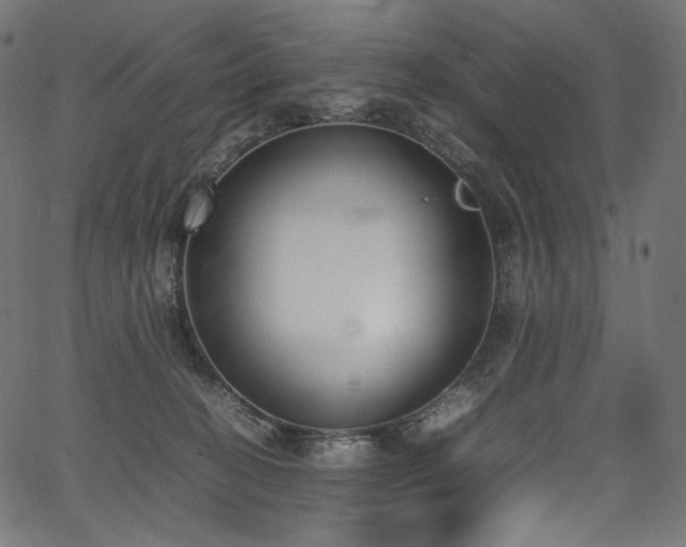 X0000067400274200603311331