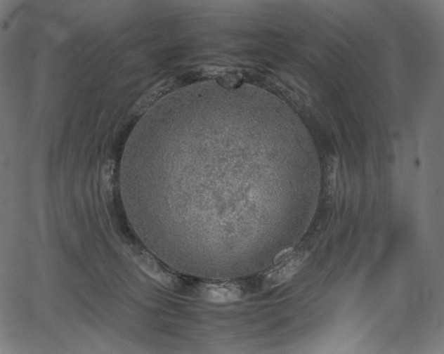 X0000067400275200603311331