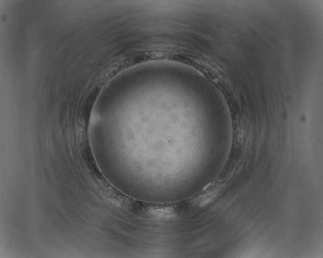 X0000067400283200603311332