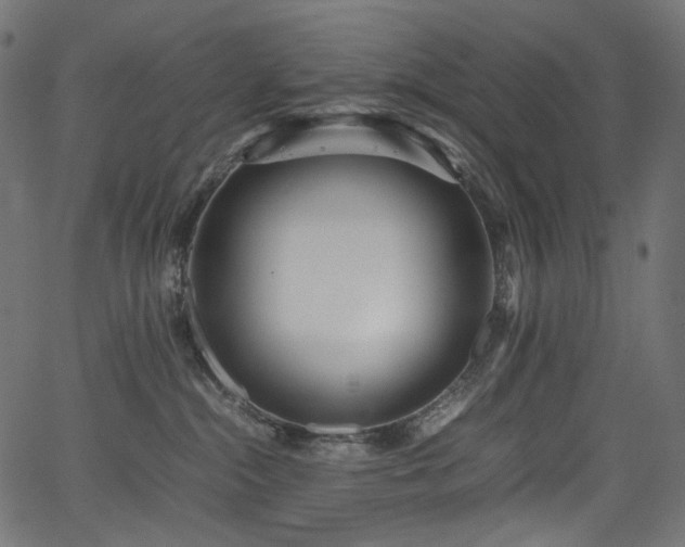 X0000067400284200603311332