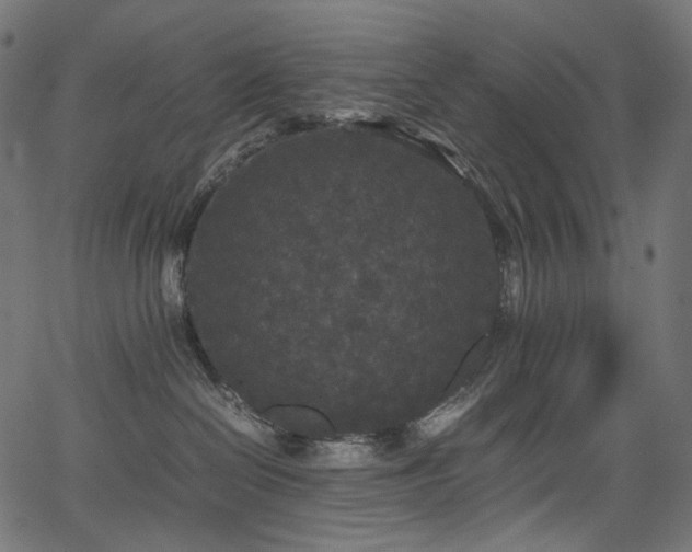 X0000067400286200603311332
