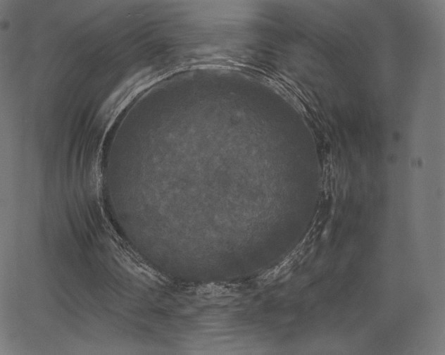 X0000067400290200603311331