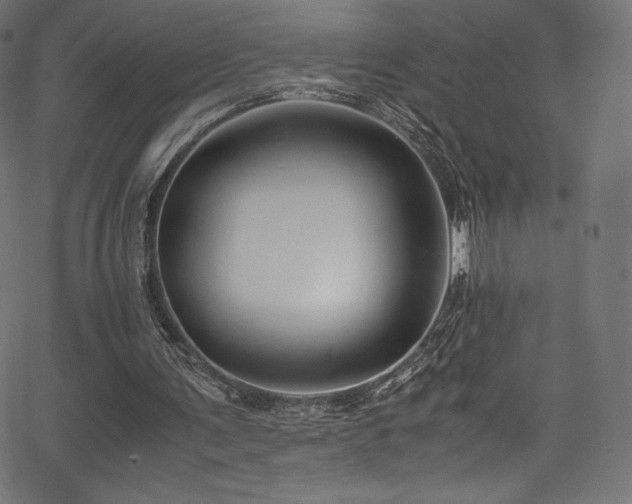 X0000067400291200603311331