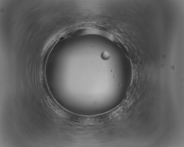 X0000067400293200603311331