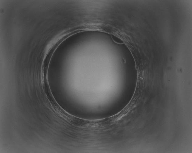 X0000067400294200603311331