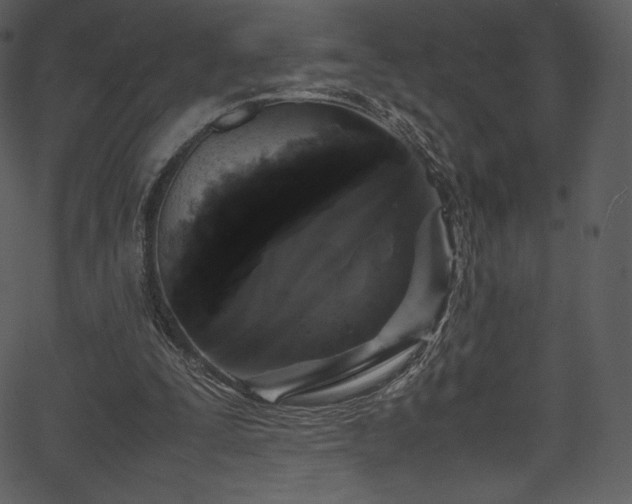 X0000067400295200603311331