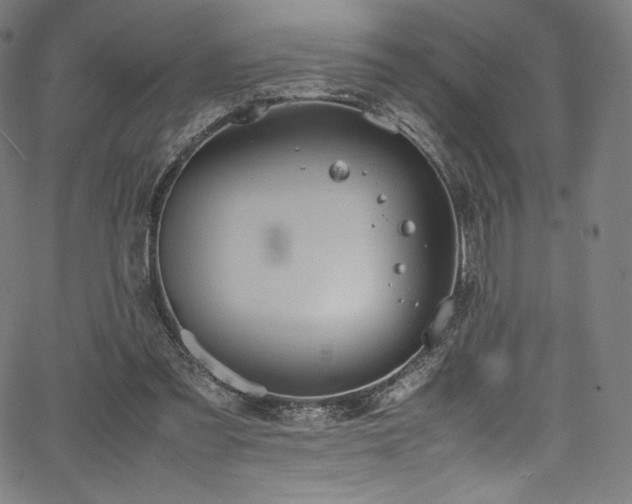 X0000067400301200603311331