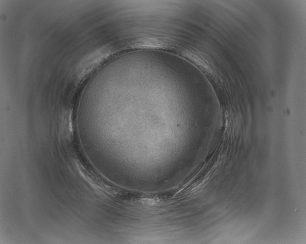 X0000067400302200603311331