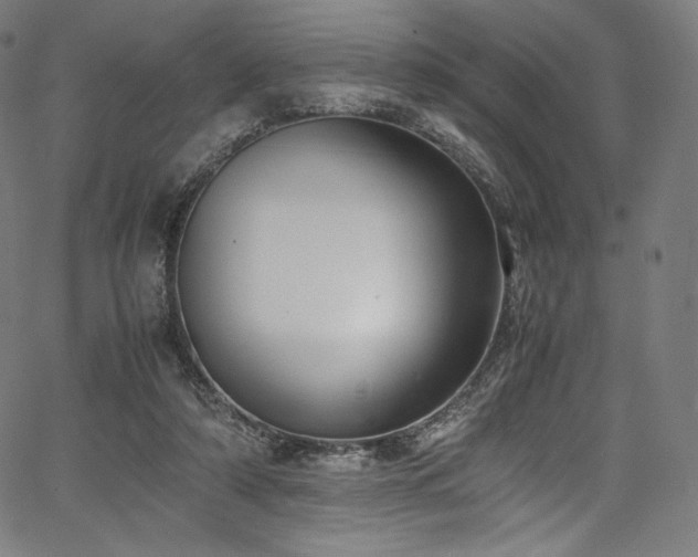 X0000067400306200603311331