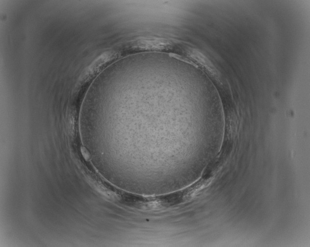 X0000067400309200603311331