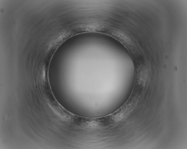 X0000067400310200603311331