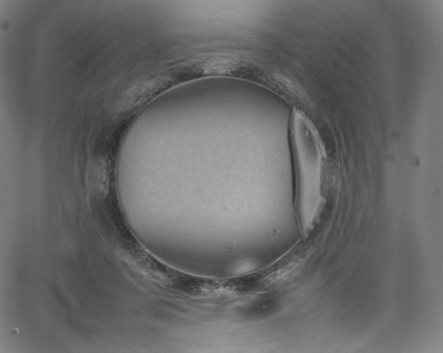 X0000067400311200603311331