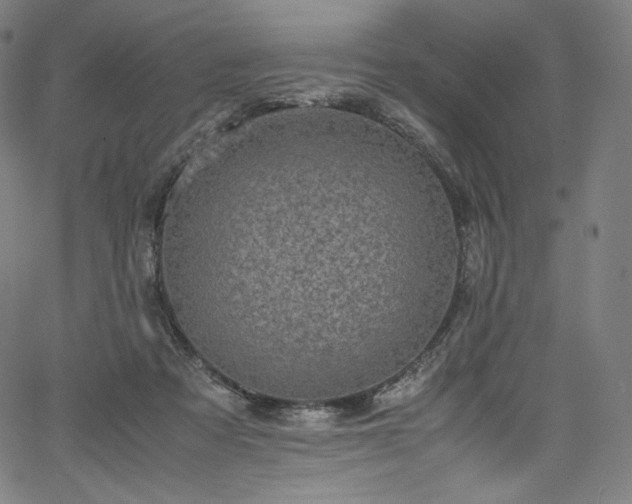 X0000067400313200603311331