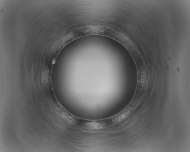X0000067400326200603311330