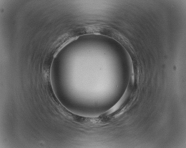 X0000067400329200603311330