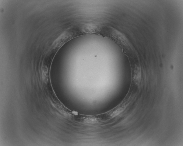 X0000067400332200603311330