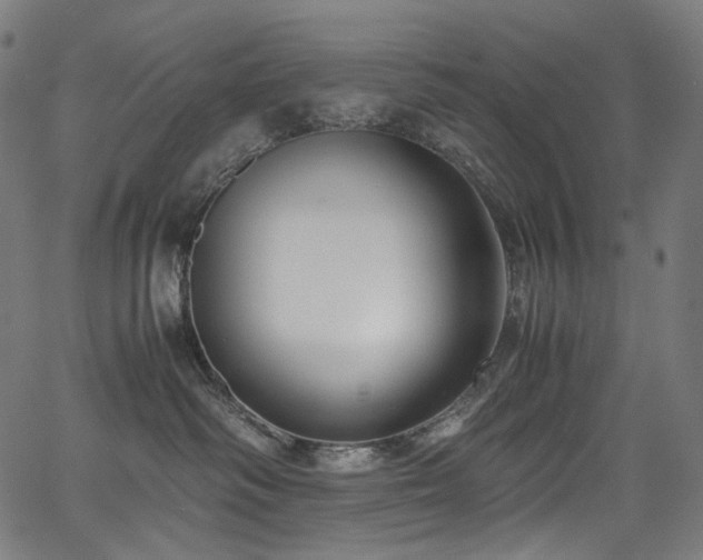 X0000067400334200603311330