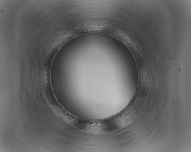 X0000067400362200603311330