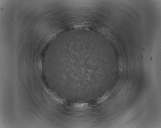 X0000067400375200603311330