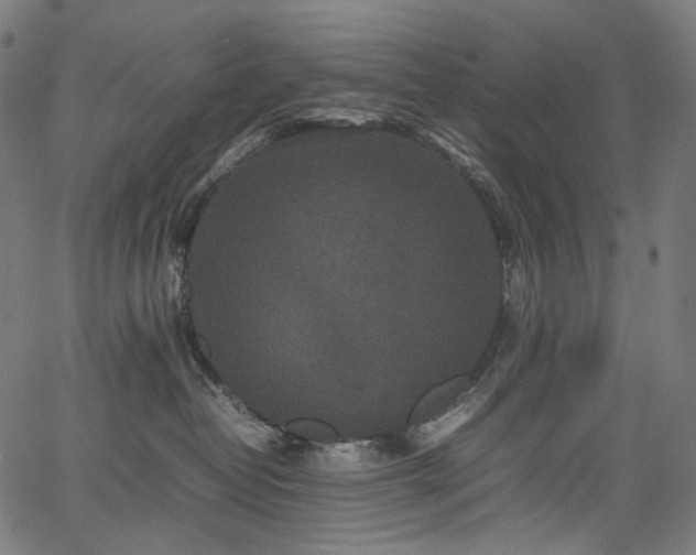 X0000067400382200603311330