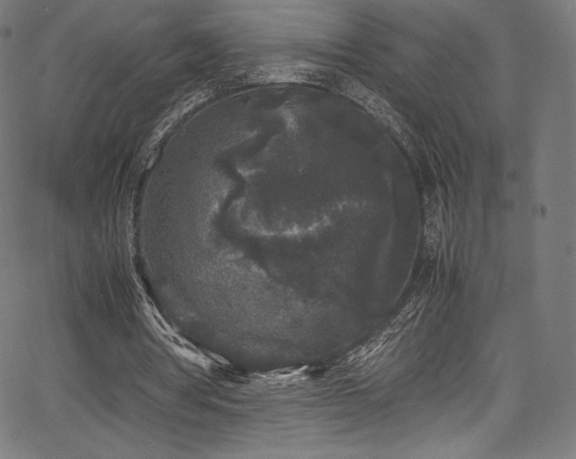 X0000067400386200603311329