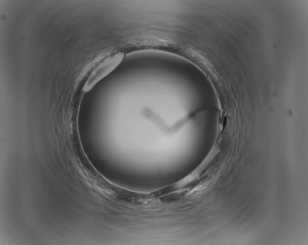 X0000067400395200603311329