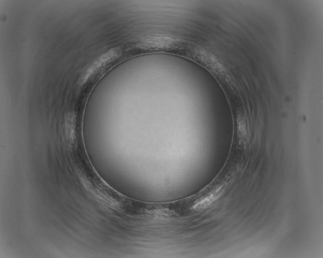 X0000067400396200603311329