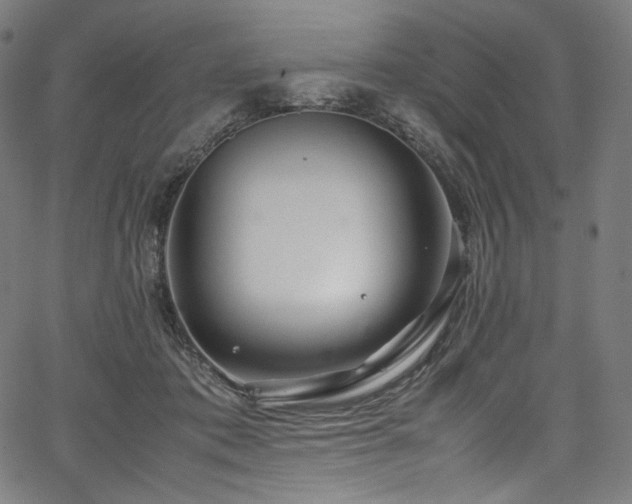 X0000067400413200603311329