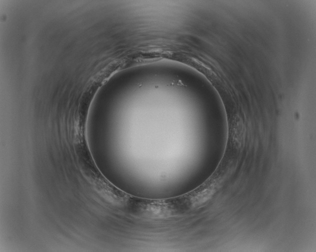 X0000067400420200603311329