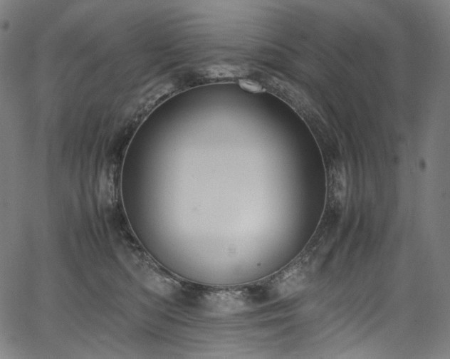 X0000067400422200603311329