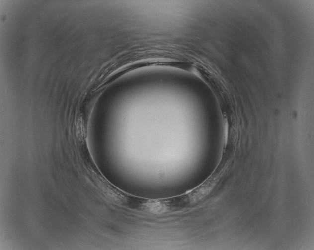 X0000067400425200603311329