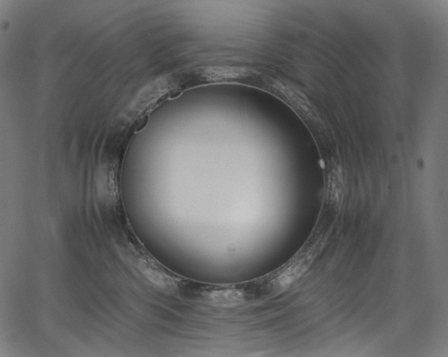 X0000067400426200603311329