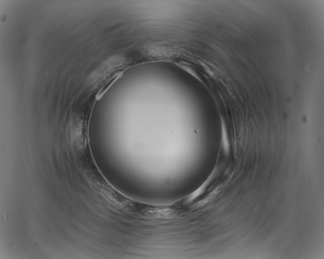 X0000067400428200603311329
