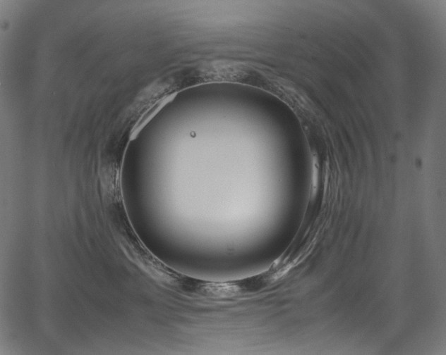 X0000067400429200603311329