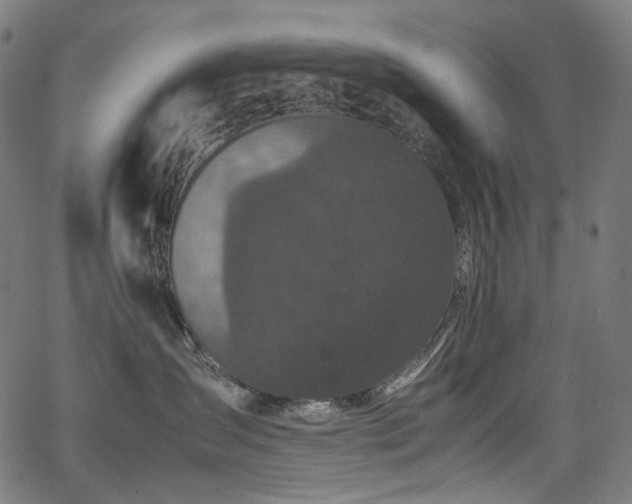 X0000067400431200603311329