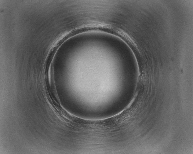 X0000067400436200603311328