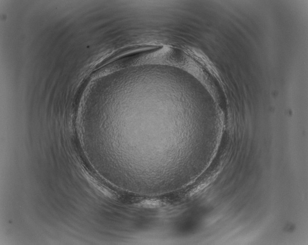 X0000067400441200603311328