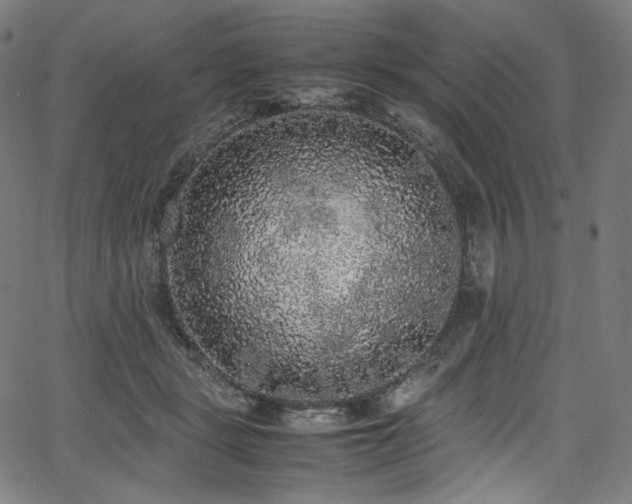 X0000067400461200603311328