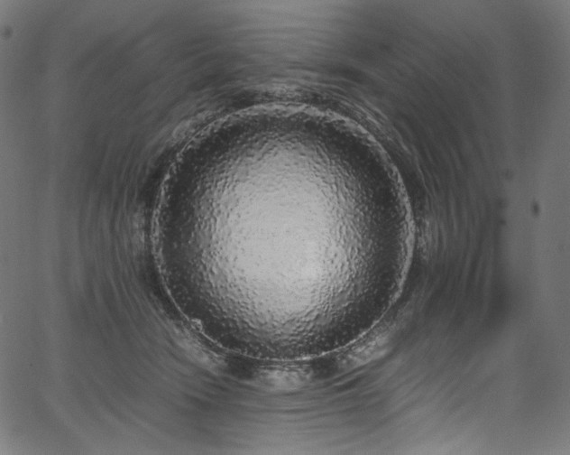 X0000067400466200603311328