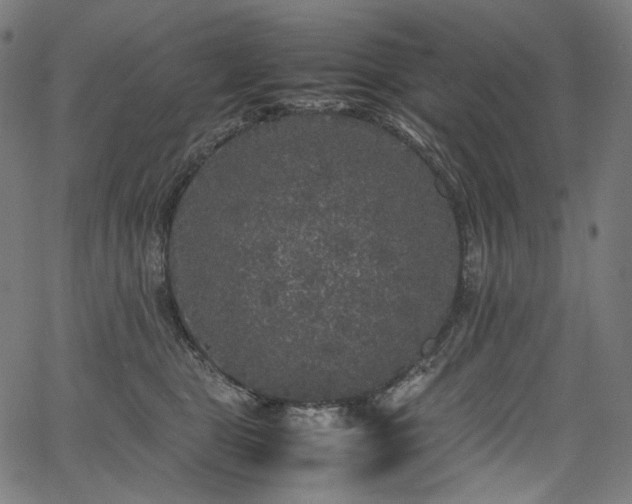 X0000067400469200603311328